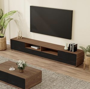 میز تلوزیون ۲